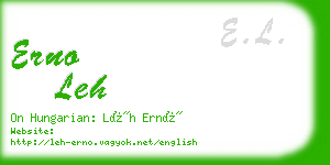 erno leh business card